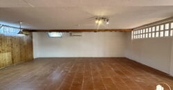 Rif. B005 – BUSNAGO – Via Delle Robinie, 24