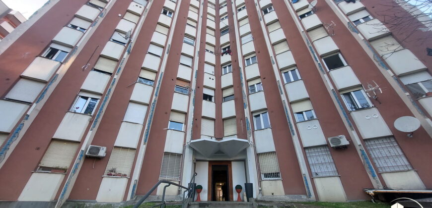 Rif. A646 – TURRO – Via Francesco Cavezzali, 11
