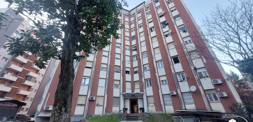 Rif. A646 – TURRO – Via Francesco Cavezzali, 11